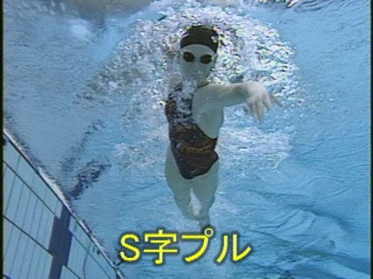걸치바 이미지