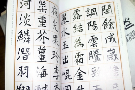 심붕 이미지