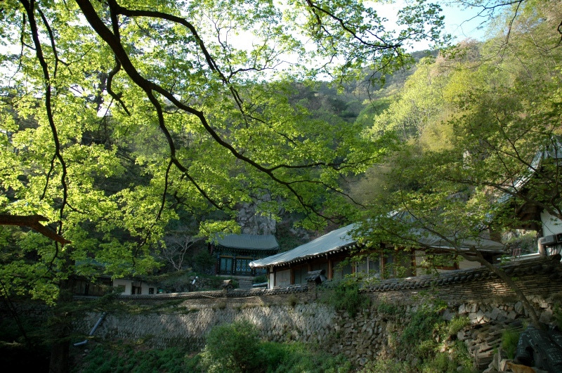 �̹����� Ŭ���ϸ� ������ ���� �� �ֽ��ϴ�.