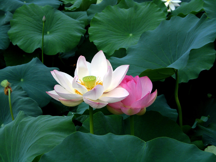 서라영 이미지