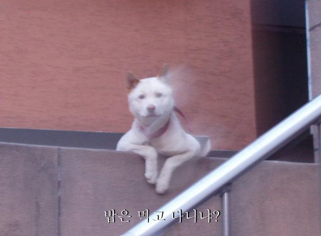음 이미지