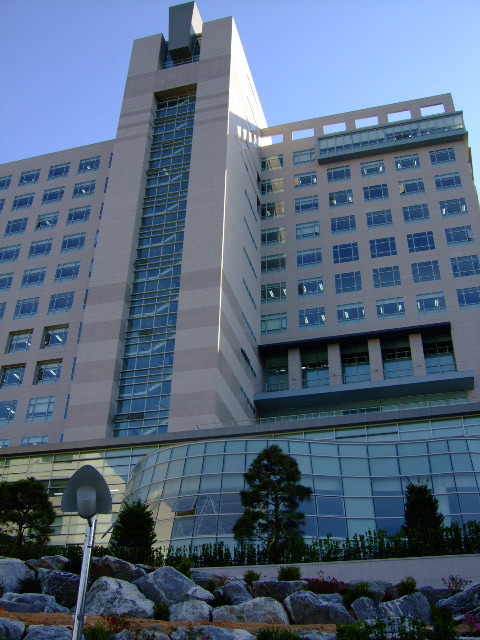 중앙대학교 이미지