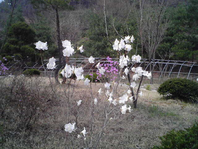 칠갑산자연휴양림 이미지