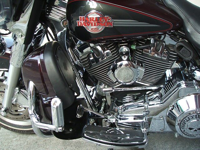 승냥이의 살아가기